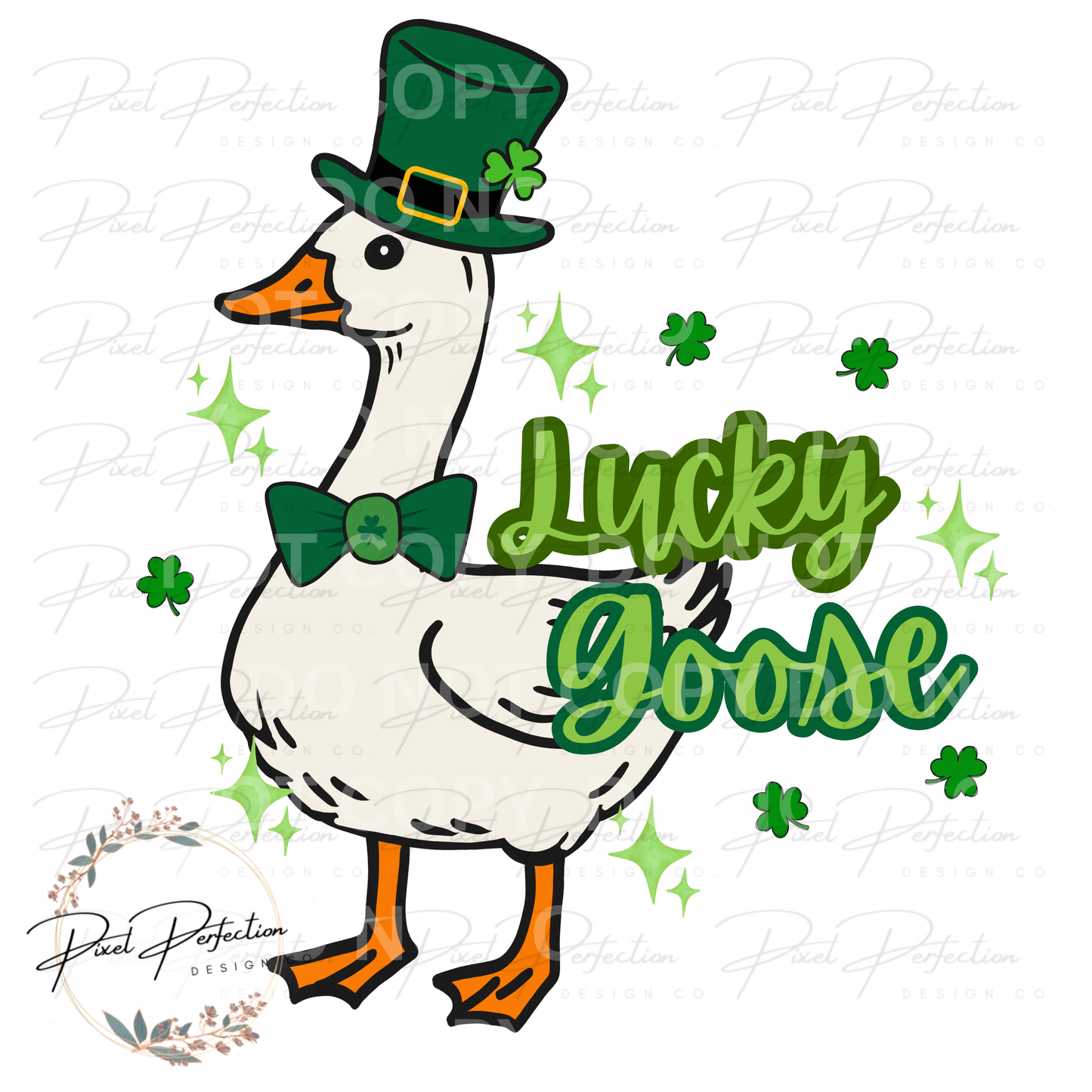 St. Patrick’s Day lucky goose boy png